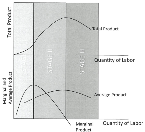 Three_Stages_of_Returns_on Production_Graphs.png